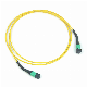 MTP/MPO Trunk Cable Single-Mode Sm G652D G657 Customizable 4f-72f Fiber Optic Cable MPO Jumper/Patchcord