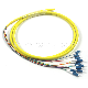  3.0mm OS2 12f MPO-LC Duplex Fanout Fiber Optic Patchcord