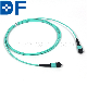 8-Core Fiber for Qsfp+Transceivers Application,   MPO-MPO Patch Cord, Om3 Multimode Fiber