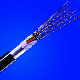 Biochemical Optical Fiber Bundle/400u Optical Fiber/Quartz Laser Fiber manufacturer