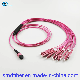 8 12 24 Core Sc FC LC St Type with MTP MPO Female Fiber Optic Patch Cord manufacturer