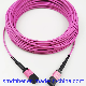 Fiber Optic Patch Cord MPO/Upc-MPO/Upc mm LSZH Type B for FTTH manufacturer