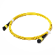 G657 Fiber Optic Patch Cord MPO/Mpt MPO-MPO Sm 9/125um G. 657A1 Trunk Cable 70meter Polarity a/ B