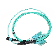 Premium 12f 24f MPO/MTP LC Cores Optical Patchcord Sm mm Om3 Om4 Cable Jumper Fiber Optic Patch Cord