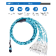  LC LC 12 Fibre MTP-MTP Fibre Optic Cables Network Cable Patch Cord