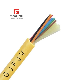 Fcj 3.0mm Multimode Indoor Optical Fiber Patch Cord Cable GJFJV