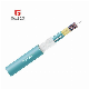 Fcj Opto Tech 48 Core Single Mode Fiber Optic Cable Gjpfjv