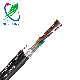  20 Pairs Hyac Self Supporting Telephone Cable