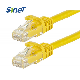 Cat 6 UTP Patch Cord Unshielded Jumper Cable with RJ45 Plug for Gigabit Ethernet