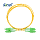 Cheaper Price Il Less 0.2dB Rl 60dB Sc APC Duplex Single Mode Optical Fiber Patch Cord