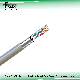 100Mbps 0.45mm 305m Indoor and Outdoor RJ45 LAN Cable 23/24AWG 4pr 0.5-0.56mm UTP Network Cable