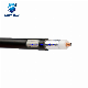 Manufacture Base Station antenna Cable Low Loss 12D-Fb Alsr600 Coaxial Cable with N Male Connector for Communication