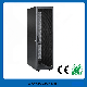 Network Cabinet/Server Cabinet Profile Cabinet (LEO-MK3) 22 to 58u manufacturer