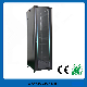 Network Cabinet/Server Cabinet (LEO-MS2-9001) with Height 18u to 47u manufacturer