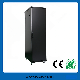 Network Cabinet/Server Cabinet (LEO-MS1-9001) with Height 18u to 47u manufacturer