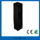  Network Cabinet/Server Cabinet (ST-NCE-42U-66) with 18u to 47u