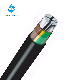 E-Ayy Al Conductors PVC Insulated and Sheathed Aluminum Power Cable