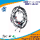  Automotive Medical Industrial Wire Harness with Different Size