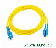 Basic Customization Connector Cable Single-Mode Fiber Optical Fiber Patch Cord Fiber Cord Jumper