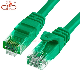 8p8c RJ45 Utpcat6/Cable Network/ Communication Cable/ UTP Cable manufacturer