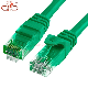 8p8c RJ45 Utpcat6/Cable Network/ Communication Cable/ UTP Cable