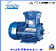 0.37kw 50Hz Yb2 Series Three Phase Explosiom Proof Electric Motor manufacturer