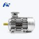  Aluminium Housing Ms Series Three Phase Asynchronous Industry Electric Motor B3 Mounting