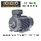 Ie3 Premium Efficiency Three-Phase Asynchronous Induction Cast Iron Electric Motor for Textile Machine