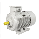 Chinese Ie2 Ie3 Ye2 Ye3 Yb3 Ybx3 Y2 Y Ms Yc Yl Ml Yy Premium High Efficient AC Induction Asynchronous Three Phase Explosion-Proof Flame Proof Electric Motor