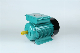  Yl Single-Phase Electric Motor 0.5HP-10HP 100%Copper/100%Output Cast Iron Housing Frame Continuous Duty AC Motor
