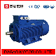 Ye2/Ye3 30kw Three-Phase Asynchronous Squirrel-Cage Cast Iron Induction Electric Motor