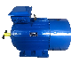 160kw 200kw 315kw 400kw 450kw 500kw 560kw 710kw 800kw Three Phase Induction AC Asynchronous Electric Motor