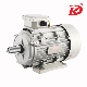  380V/440V 50Hz/60Hz Ye2 Aluminum Housing 0.25kw to 350kw High Efficiency Asynchronous Three Phase Induction AC Motor