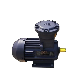 High Efficiency Speed Explosion and Flame Proof Electric Asynchronous Induction Electrical Motor