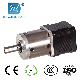  42mm Precision Planetary Gear Stepper Motor for Printer