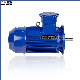 Ybx3 Series Ybx3-160L-4-15kw Explosion-Proof Three-Phase Asynchronous Motor