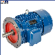  Professional 4 Poles Three Phase Asynchronous Electric Induction Motor for General Drive