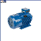  High Speed CE Approved Three-Phase Asynchronous Motor Induction Motor (YE3 Series)