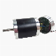 80mm 48V Brushless DC Motor 3000rpm BLDC Motor Integrated with Driver Jk80bls02-13ie