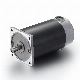  45mm 45zyt 24V, 12V High Power Rare Earth Magnet Brushed DC Motor