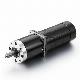  24V 70W Reducer Motor with Gearbox Low Rpm DC Brushless Planetary Gear Motor