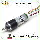  22mm Low Backlash Long Lifetime Small DC Geared Motor