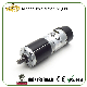 Made in China High Precision Rotisserie Geared Motor