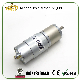  OEM Commutator in China DC Motor with Gearbox 24V