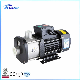  Titecho Cnp Chlf Horizontal Single Stage Centrifugal Water Pumps for Water Treatment Industry