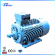  Non-Standard Power Series (Small Frame High-Power) Three-Phase Asynchronous Motor