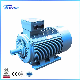 Non-Standard Power Series (Small Frame High-Power) Three-Phase Asynchronous Motor