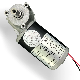 12 Volt DC Worm Gear Small Motor China Supplier for Smart Electric-Drive Curtain