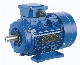  CE Approved Ie2 Efficiency 0.75kw 1500rpm Ms Series AC Electric Motor