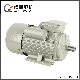  Yc Series 50Hz Single Phase 220V 0.75kw 1.1kw 1.5kw 1HP Pure Copper Electric Motor for Water Pumps